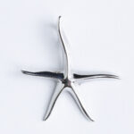 Srebrni privjesak “Morska zvijezda”